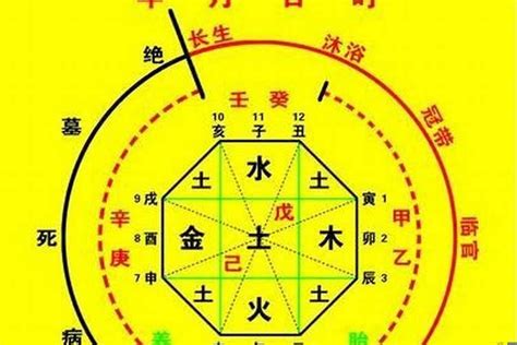 八字十神查詢|八字十神在线排盘,十神四柱排盘查询,四柱十神排盘